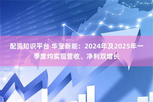 配资知识平台 华宝新能：2024年及2025年一季度均实现营收、净利双增长