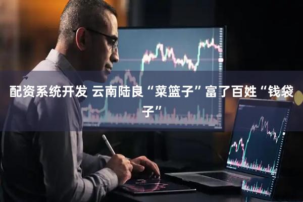 配资系统开发 云南陆良“菜篮子”富了百姓“钱袋子”