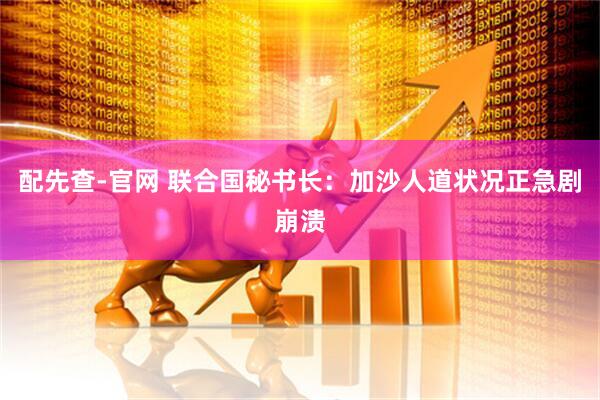 配先查-官网 联合国秘书长：加沙人道状况正急剧崩溃